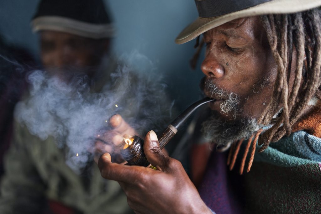 cannabis torrevieja - club cannabico Mad Monkey 420